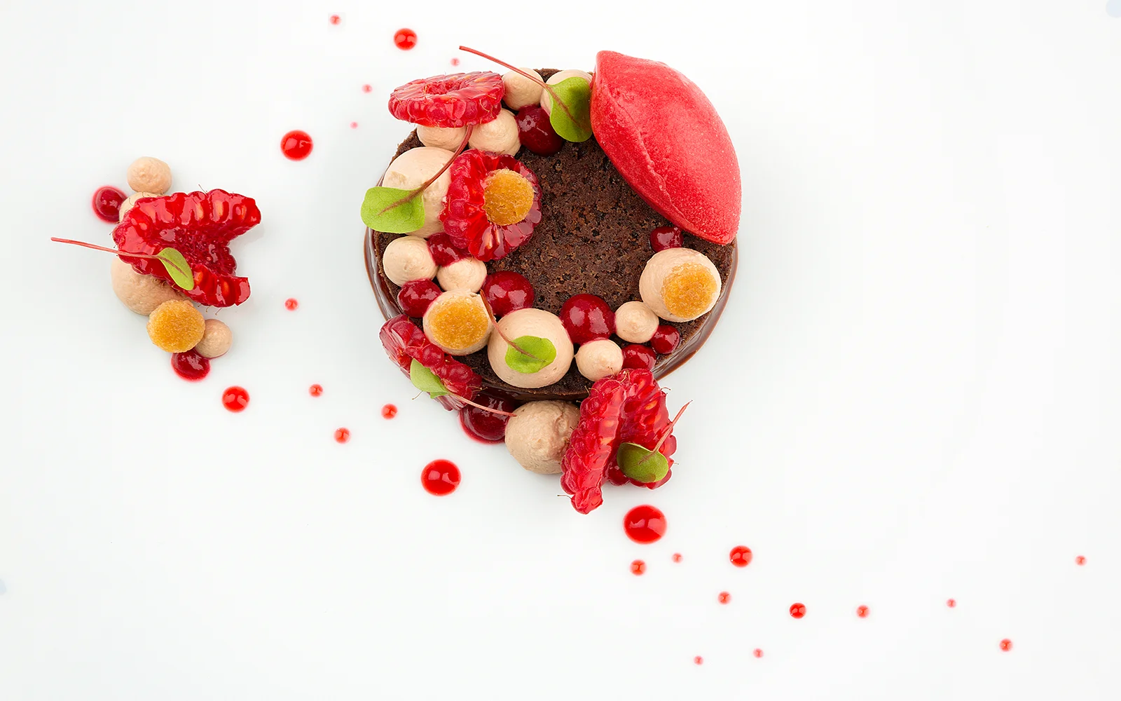 Un dessert joliment présenté avec une base en chocolat, garnie de framboises fraîches, de sorbet rouge, d'éclats de crème, de fines herbes vertes et de gouttes de sauce rouge, le tout disposé avec art sur une assiette blanche.
